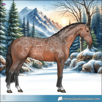Horse Color:Bay Ice 
