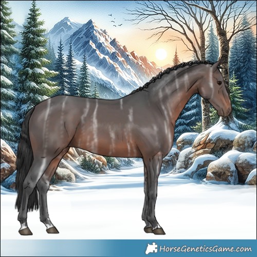 Horse Color:Brown Ice 