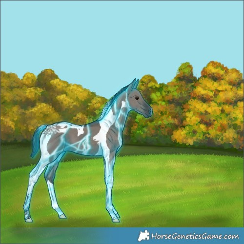 Horse Color:Thunderstruck Smoky Grullo Tobiano 