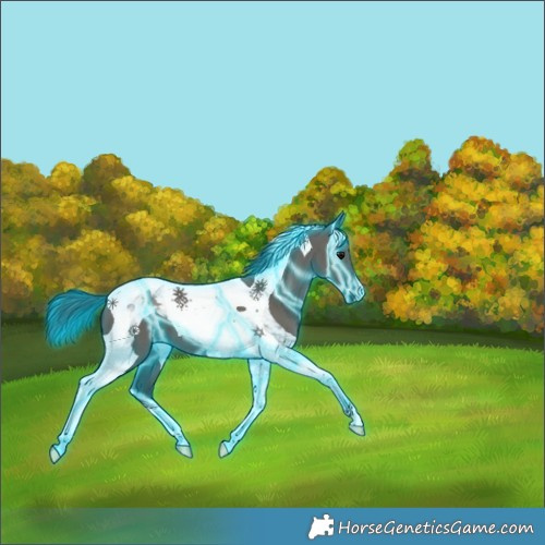 Horse Color:Thunderstruck Grullo Tobiano 