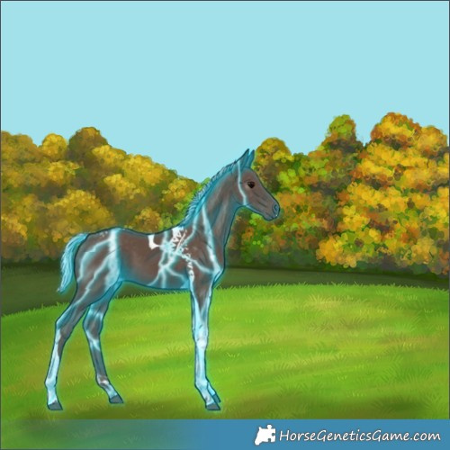 Horse Color:Thunderstruck Silver Black Tobiano 