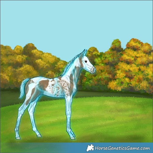 Horse Color:Thunderstruck Silver Smoky Black Splash Tobiano 