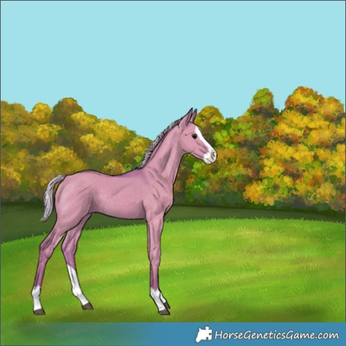 Horse Color:Watercolor Silver Grullo Splash 