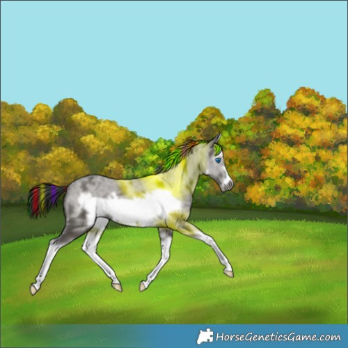 Horse Color:Painted Grullo Sabino Splash Frame 