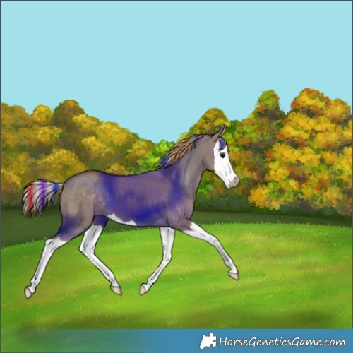 Horse Color:Painted Silver Grullo Splash 