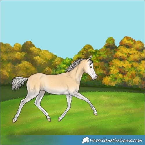 Horse Color:Silver Sable Cream Champagne Onyx Splash Rabicano 