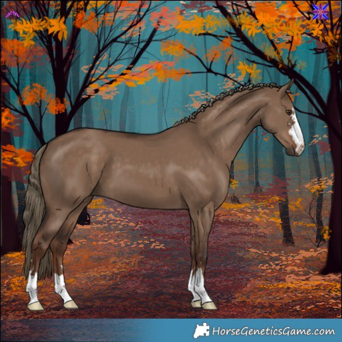 Horse Color:Liver Red Dun 