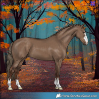 Horse Color:Liver Red Dun 