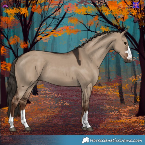 Horse Color:Liver Red Dun 