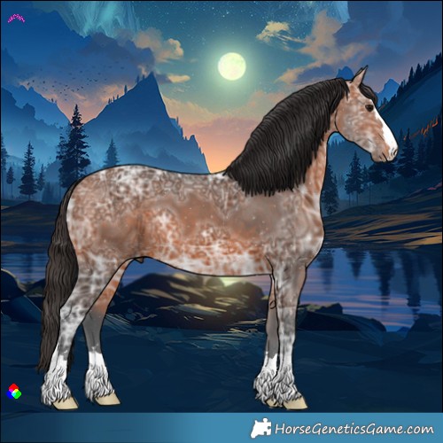 Horse Color:Bay Ice 