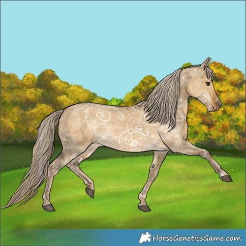 Horse Color:Chocolate Palomino Ice Dun 
