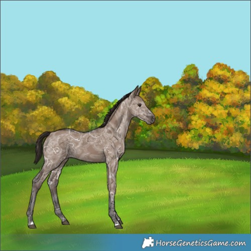 Horse Color:Liver Red Dun Ice 