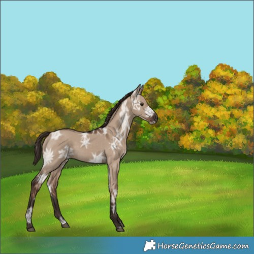 Horse Color:Liver Red Dun Ice 