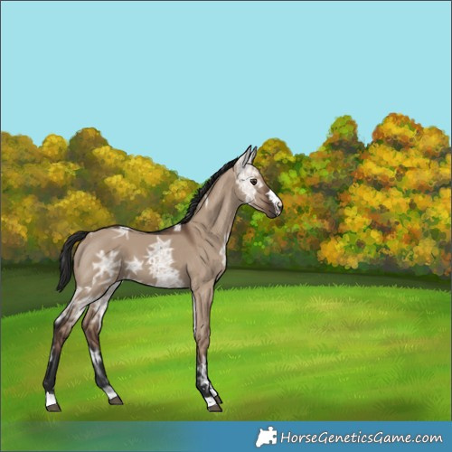 Horse Color:Liver Red Dun Ice 
