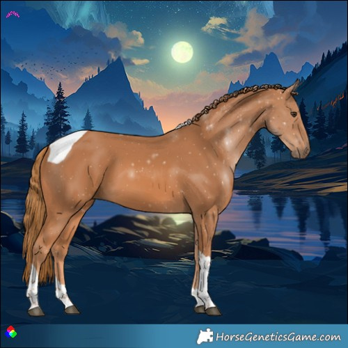 Horse Color:Chestnut Tobiano 