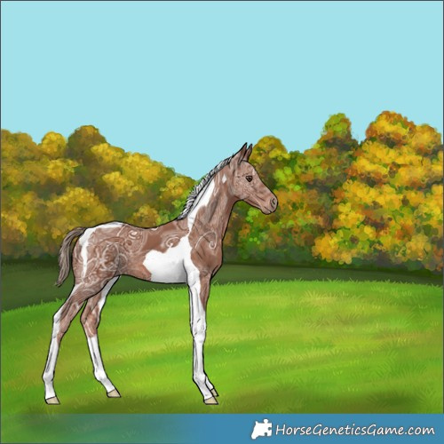 Horse Color:Chestnut Ice Tobiano 