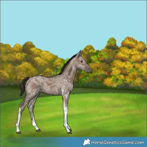 Horse Color:Liver Red Dun Ice Tobiano 