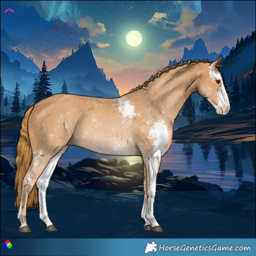 Horse Color:Chestnut Sabino