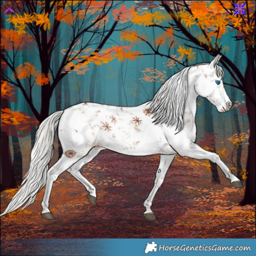 Horse Color:White Spotted Silver Bay Sabino Splash
