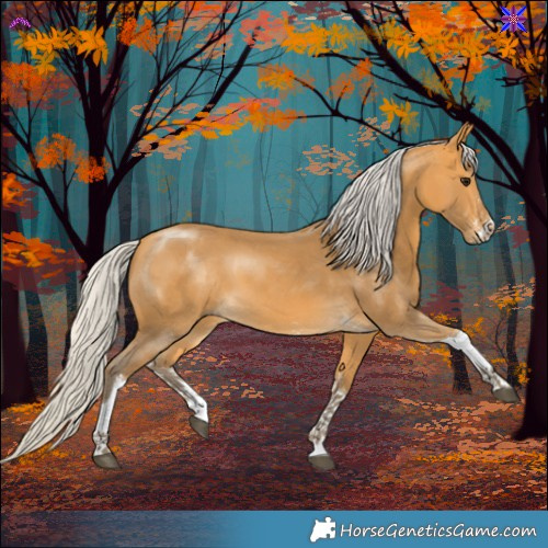 Horse Color:Silver Buckskin Sabino Tobiano 
