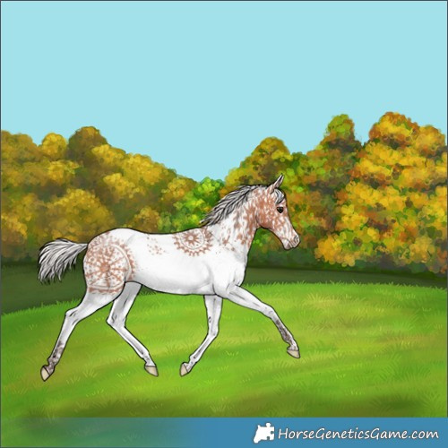 Horse Color:White Spotted Silver Bay Tobiano 