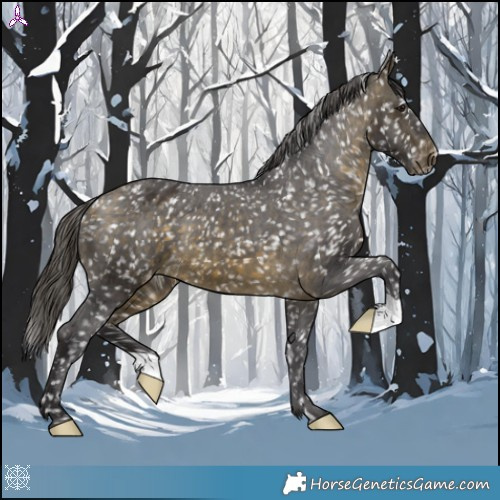 Horse Color:Buckskin Blanket