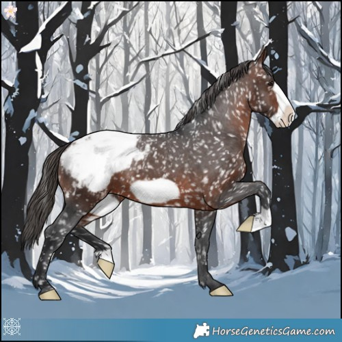 Horse Color:Brown Frame Snowcap