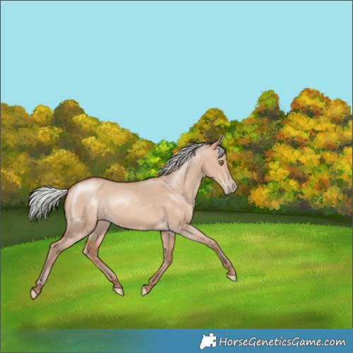 Horse Color:Silver Sable Champagne Dun 