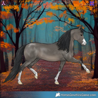 Horse Color:Grullo 