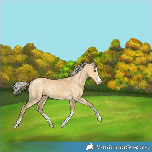 Horse Color:Silver Classic Cream Champagne Dun 