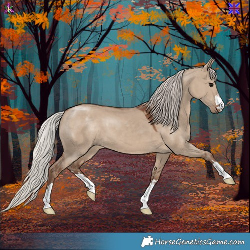 Horse Color:Silver Grullo 