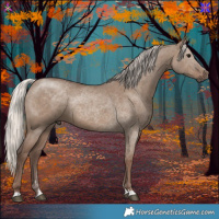 Horse Color:Silver Grullo 