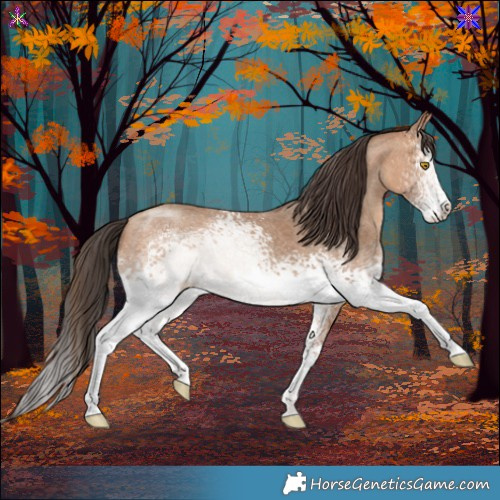 Horse Color:White Spotted Amber Champagne 