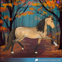 Horse Color:Buckskin Dun 