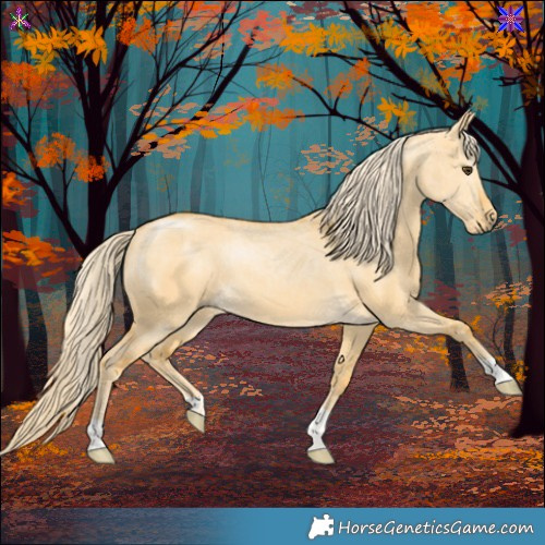 Horse Color:Palomino Dun 