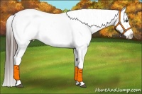 Horse Color:White Spotted Black Splash Varnish Rabicano 