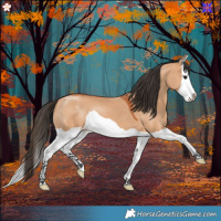 Horse Color:Bay Dun Splash 