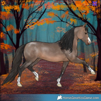 Horse Color:Brown Dun 