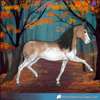 Horse Color:White Spotted Brown Dun 