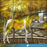 Horse Color:White Spotted Chocolate Palomino Tobiano 