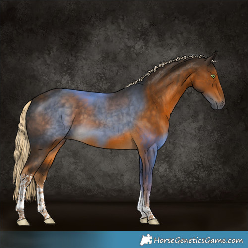 Horse Color:White Spotted Chocolate Palomino Tobiano 