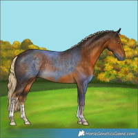 Horse Color:White Spotted Chocolate Palomino Tobiano 