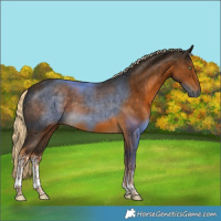 Horse Color:White Spotted Chocolate Palomino Tobiano 