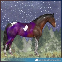 Horse Color:White Spotted Liver Chestnut Tobiano Rabicano 