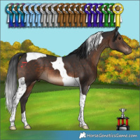 Horse Color:Brown Tobiano 