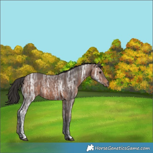 Horse Color:Brown Ice 