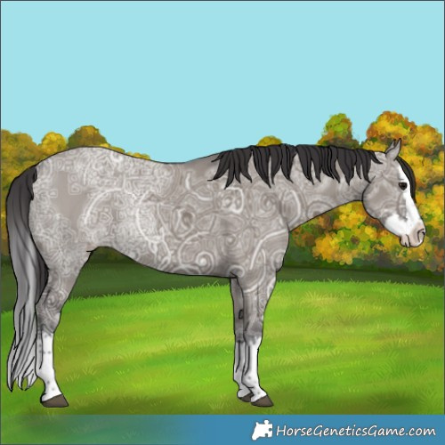 Horse Color:Smoky Grullo Ice Splash 