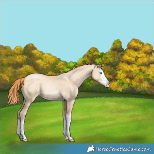 Horse Color:White Spotted Smoky Grullo Pearl Splash 
