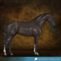 Horse Color:Liver Chestnut Tobiano 