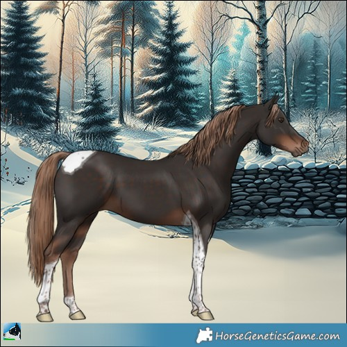 Horse Color:Liver Chestnut Tobiano 